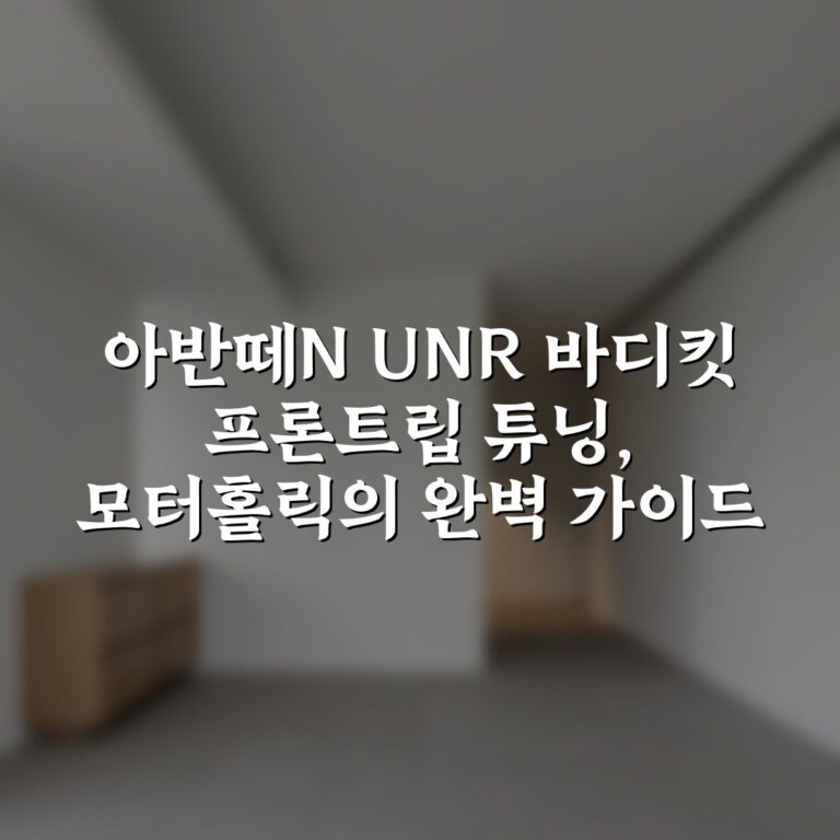아반떼N UNR 바디킷 프론트립 튜닝, 모터홀릭의 완벽 가이드