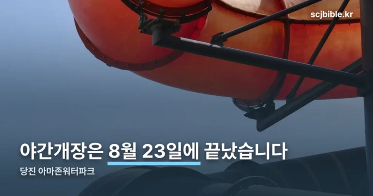 당진 아마존워터파크 — 야간개장은 8월 23일에 끝났습니다