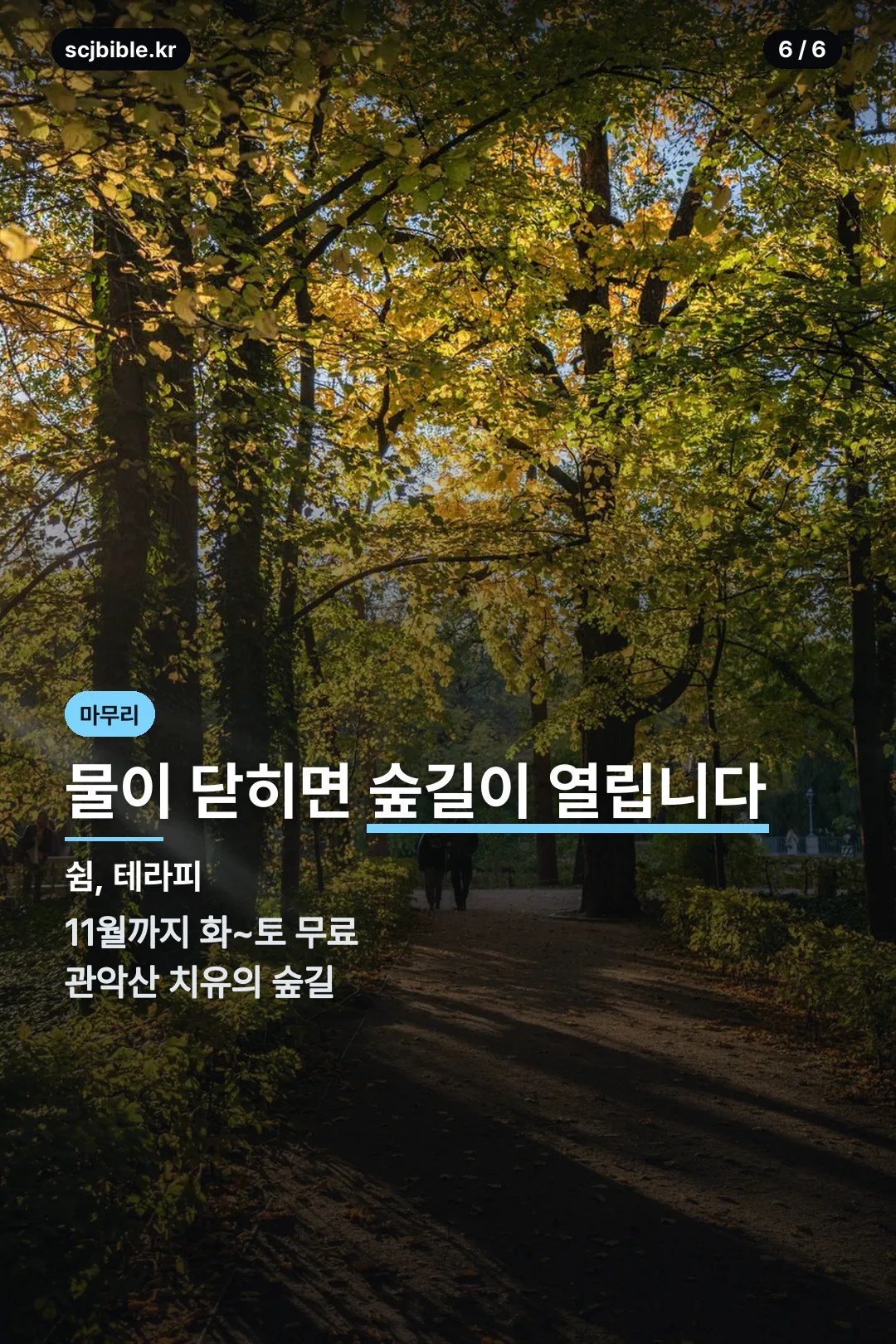 가을 산림치유 프로그램