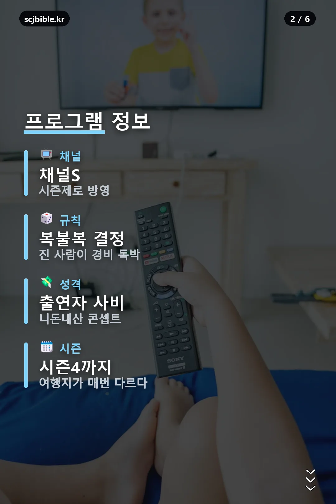프로그램 정보
