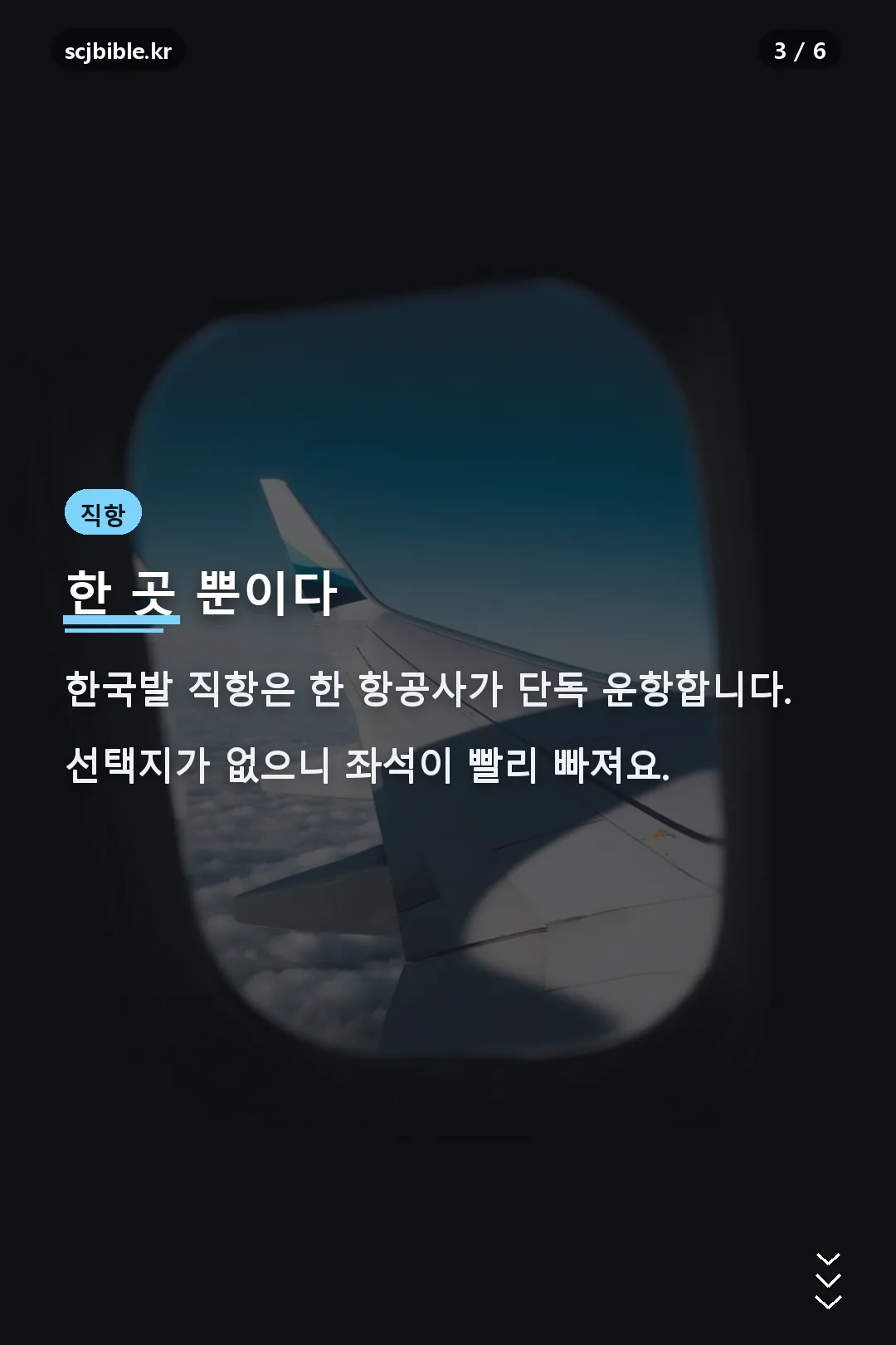 직항 단독 운항