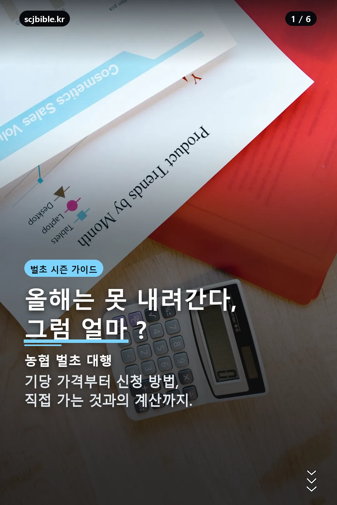 농협 벌초 대행 가격 표지