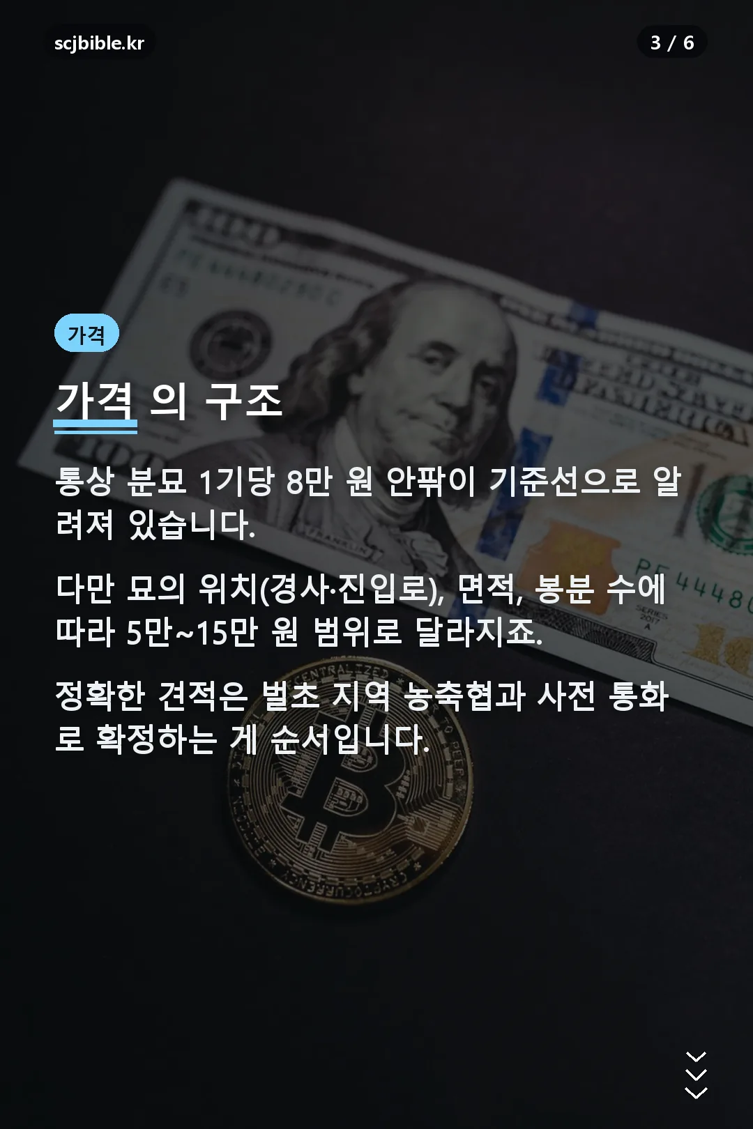 가격 구조