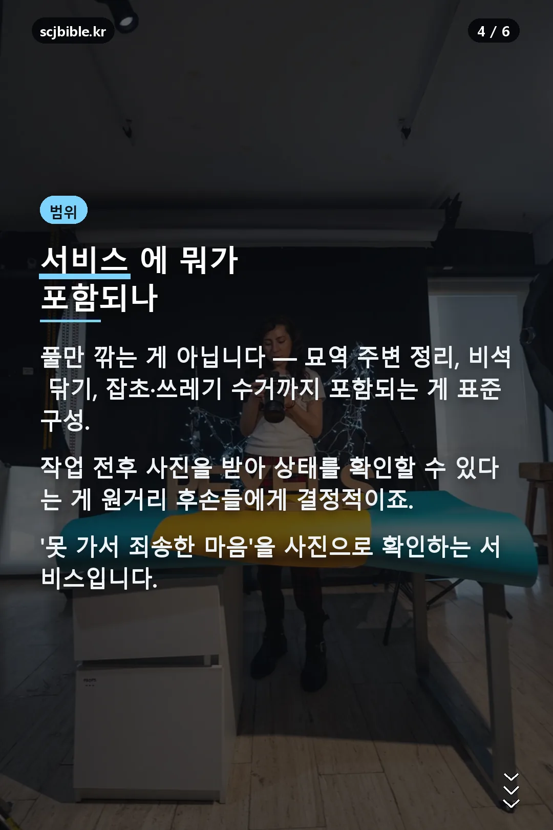 서비스 범위