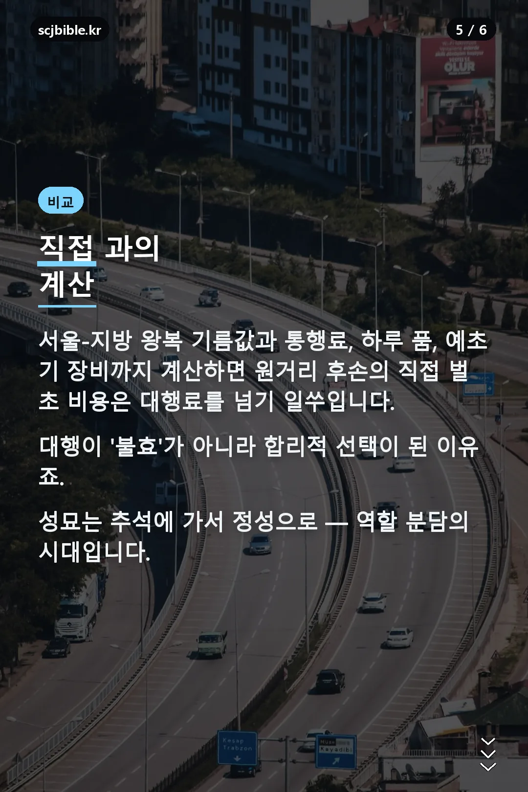 직접 벌초 비교