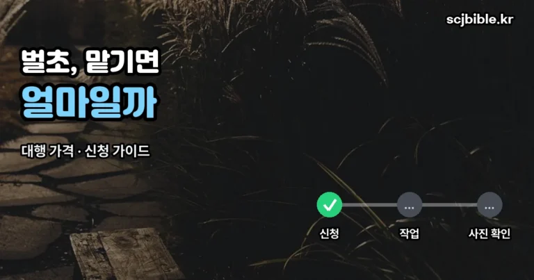 농협 벌초 대행 가격 — 기당 8만 원 안팎, 직접 가는 것과 계산해봤습니다
