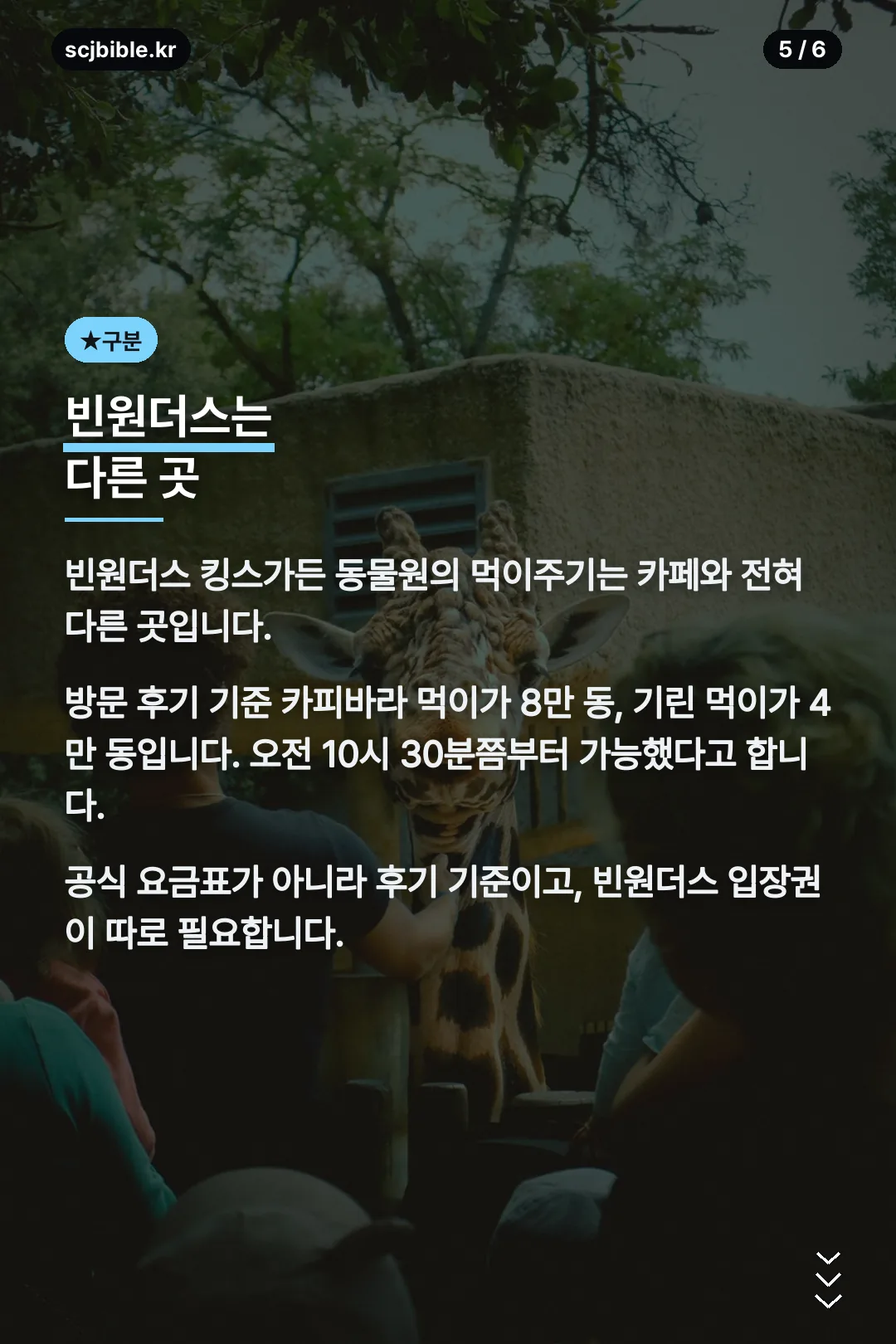 빈원더스 먹이주기