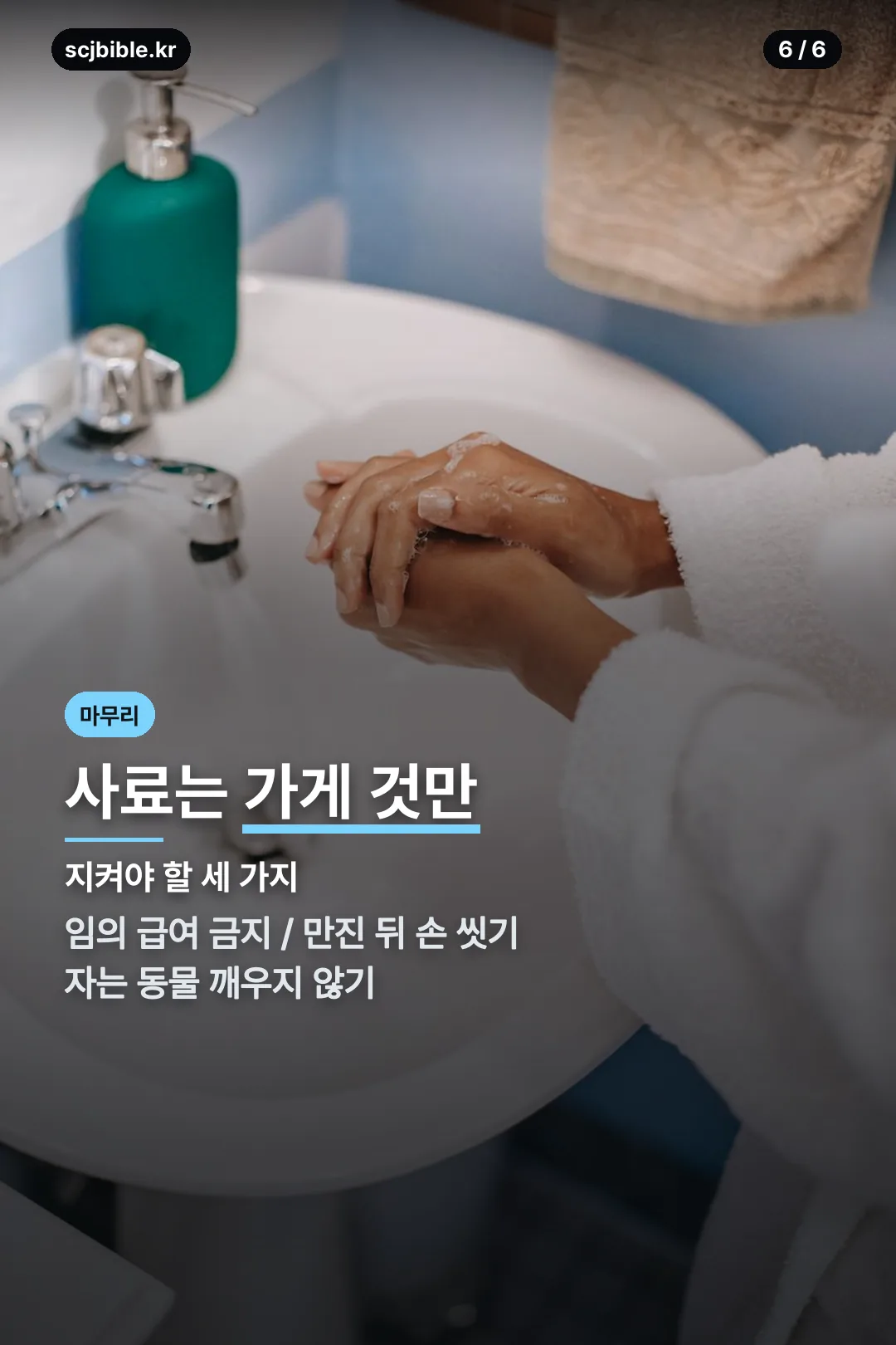 위생과 동물 복지