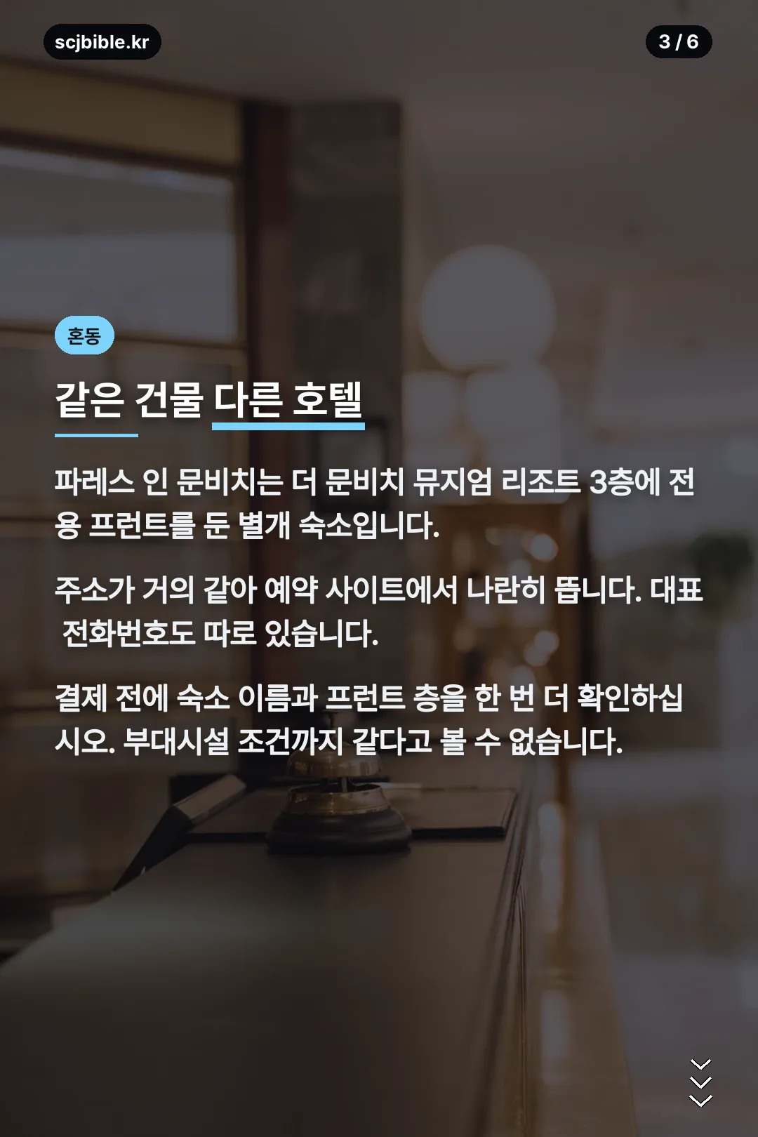 파레스 인 문비치 구분