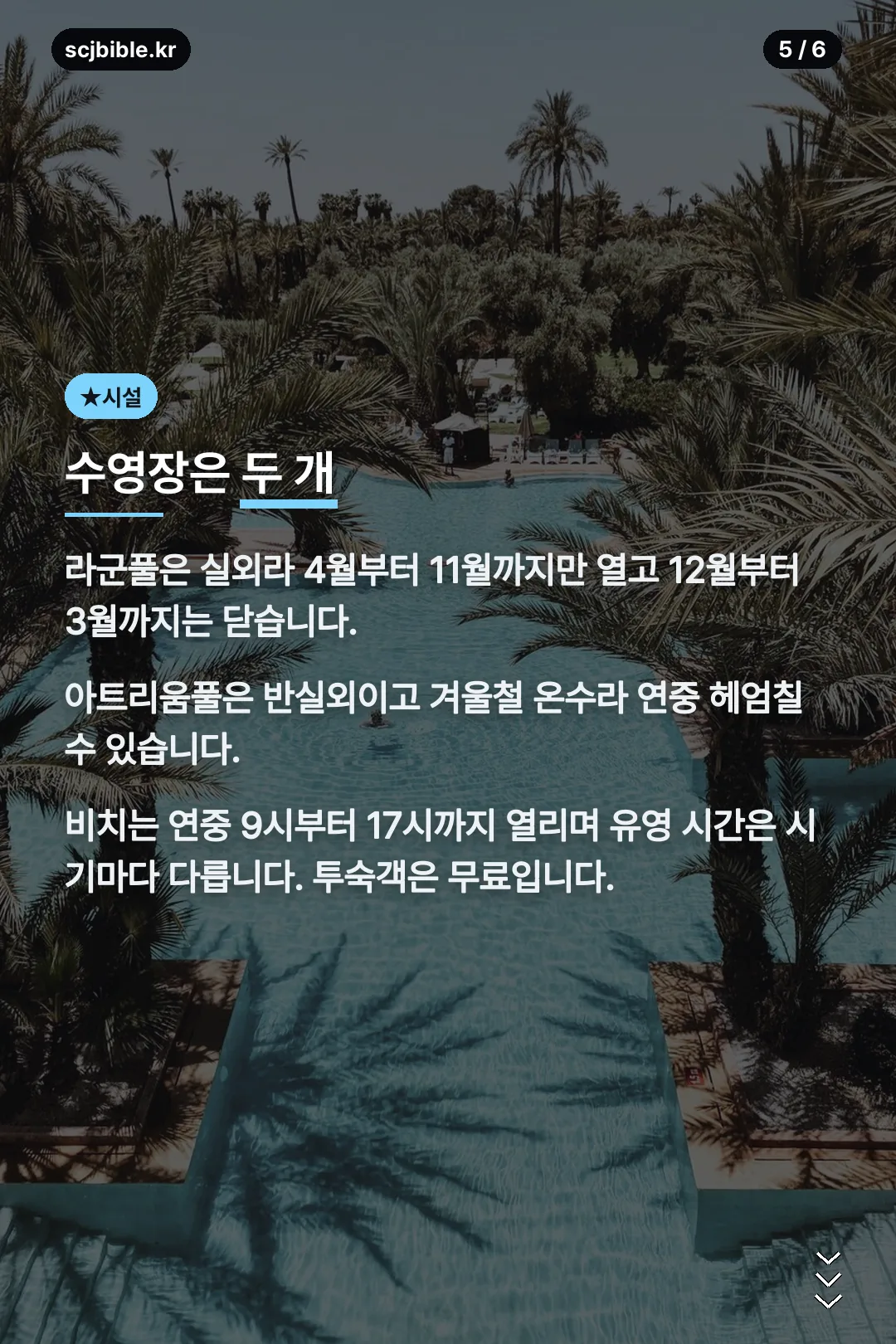 비치와 두 수영장