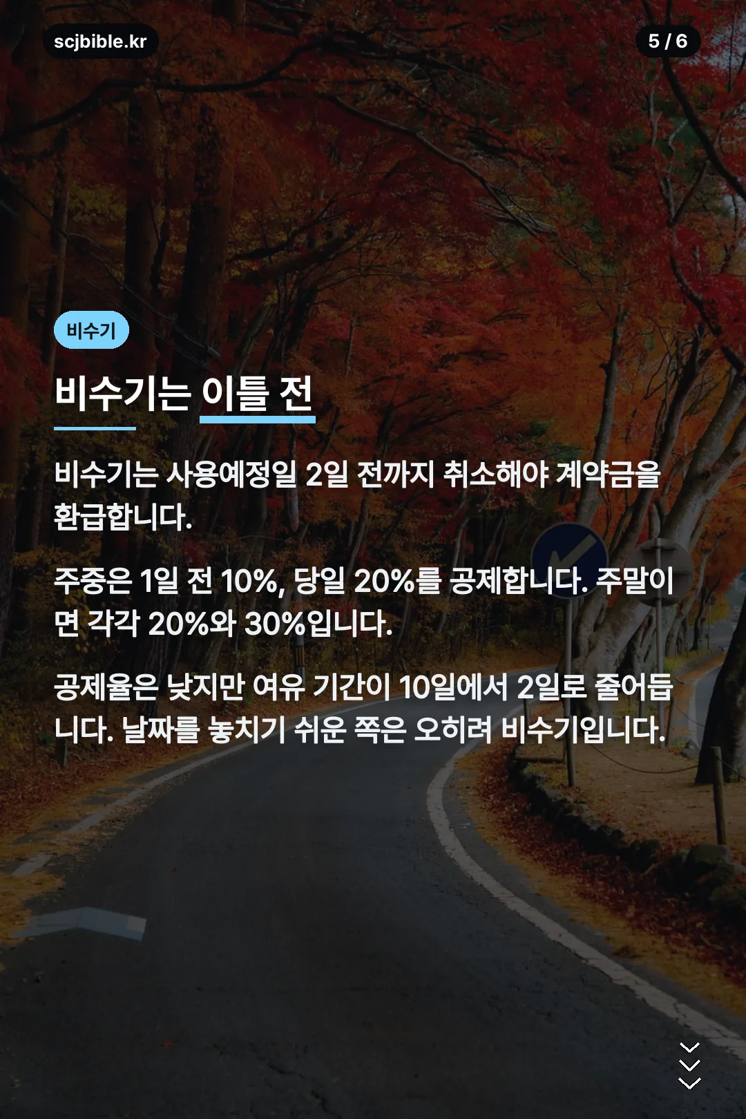 비수기 취소 기준