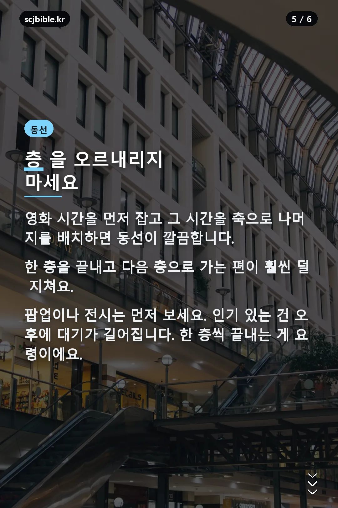 효율적인 동선