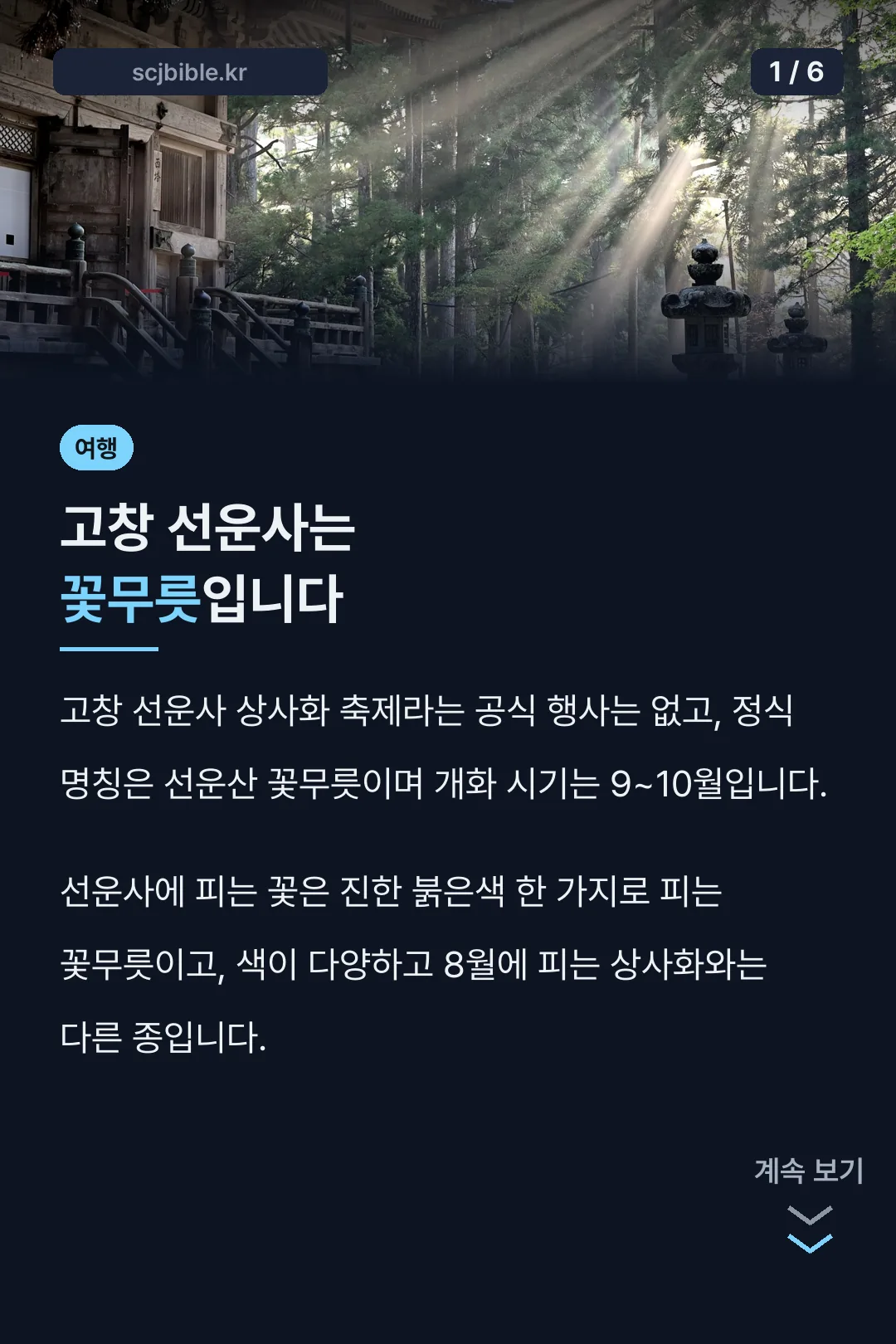 고창 선운사는 꽃무릇입니다