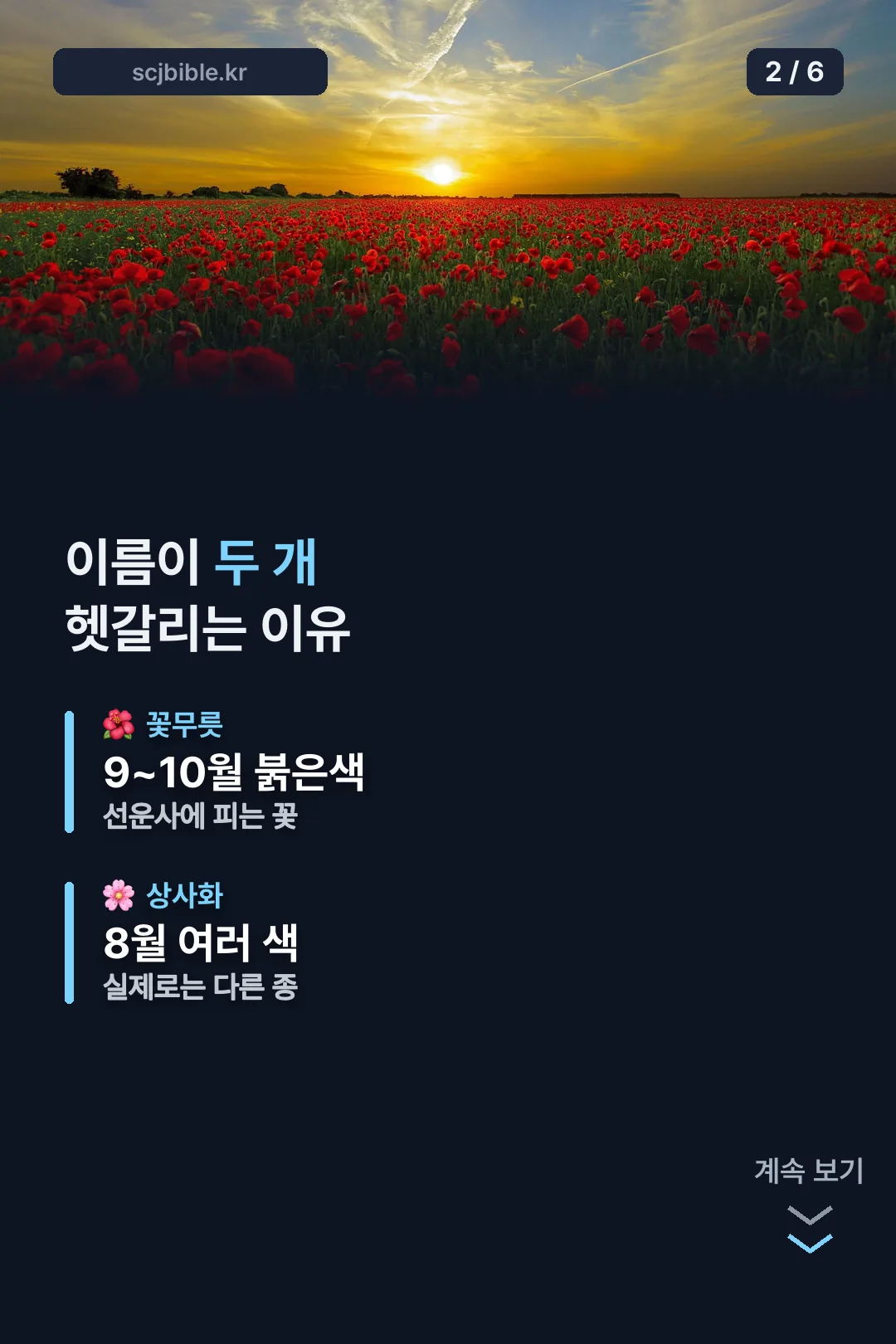 꽃무릇과 상사화 차이