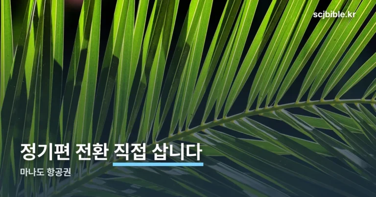 마나도 항공권 — 9월부터 직접 삽니다, 매일 밤 8시 25분 출발