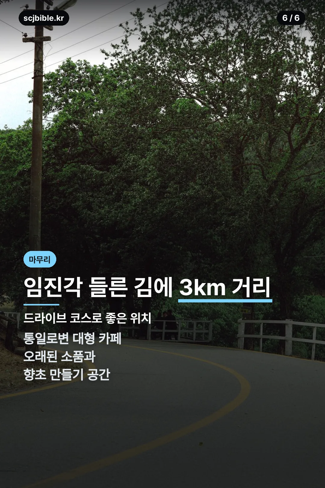 임진각 드라이브 코스