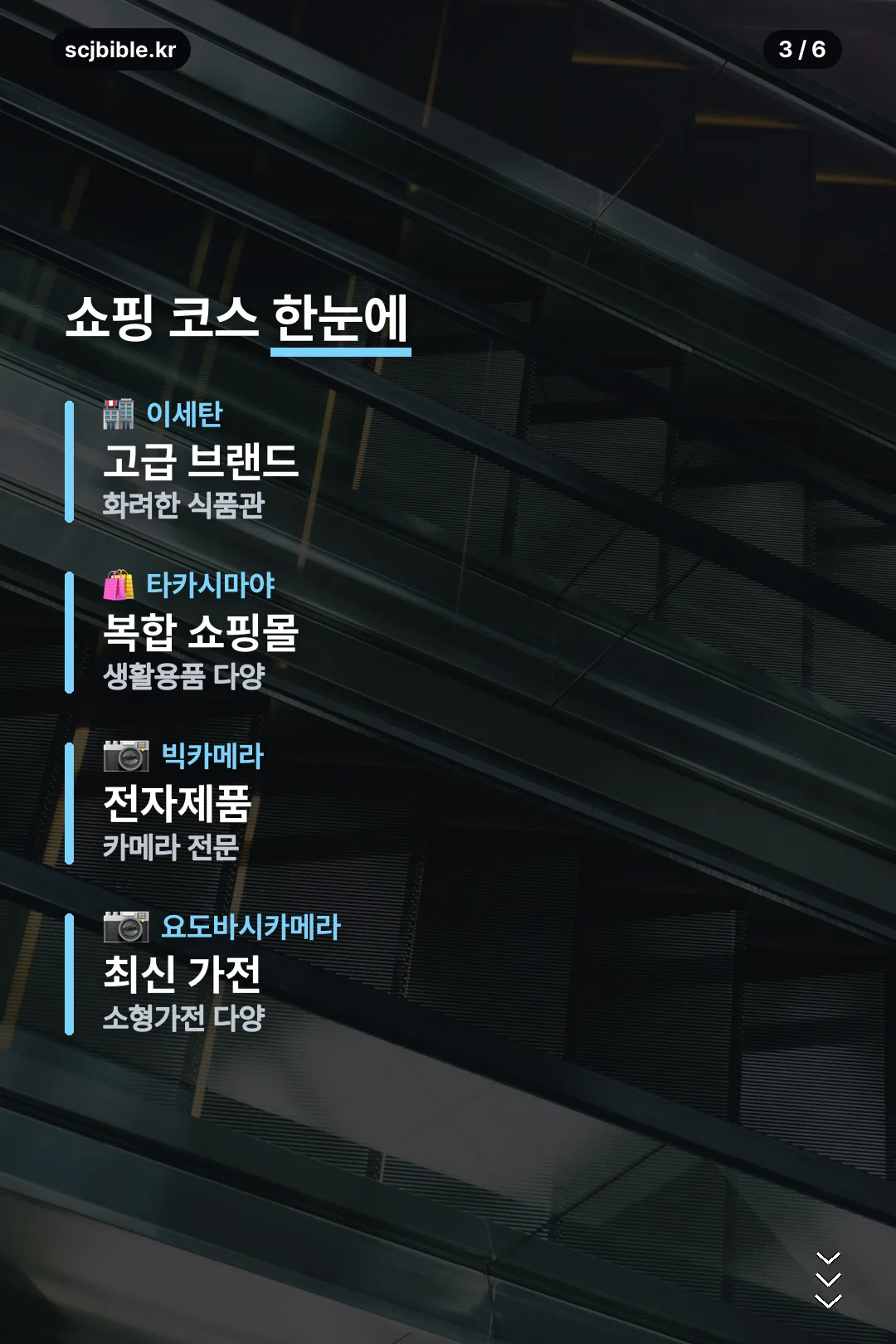 쇼핑 코스 한눈에 보기