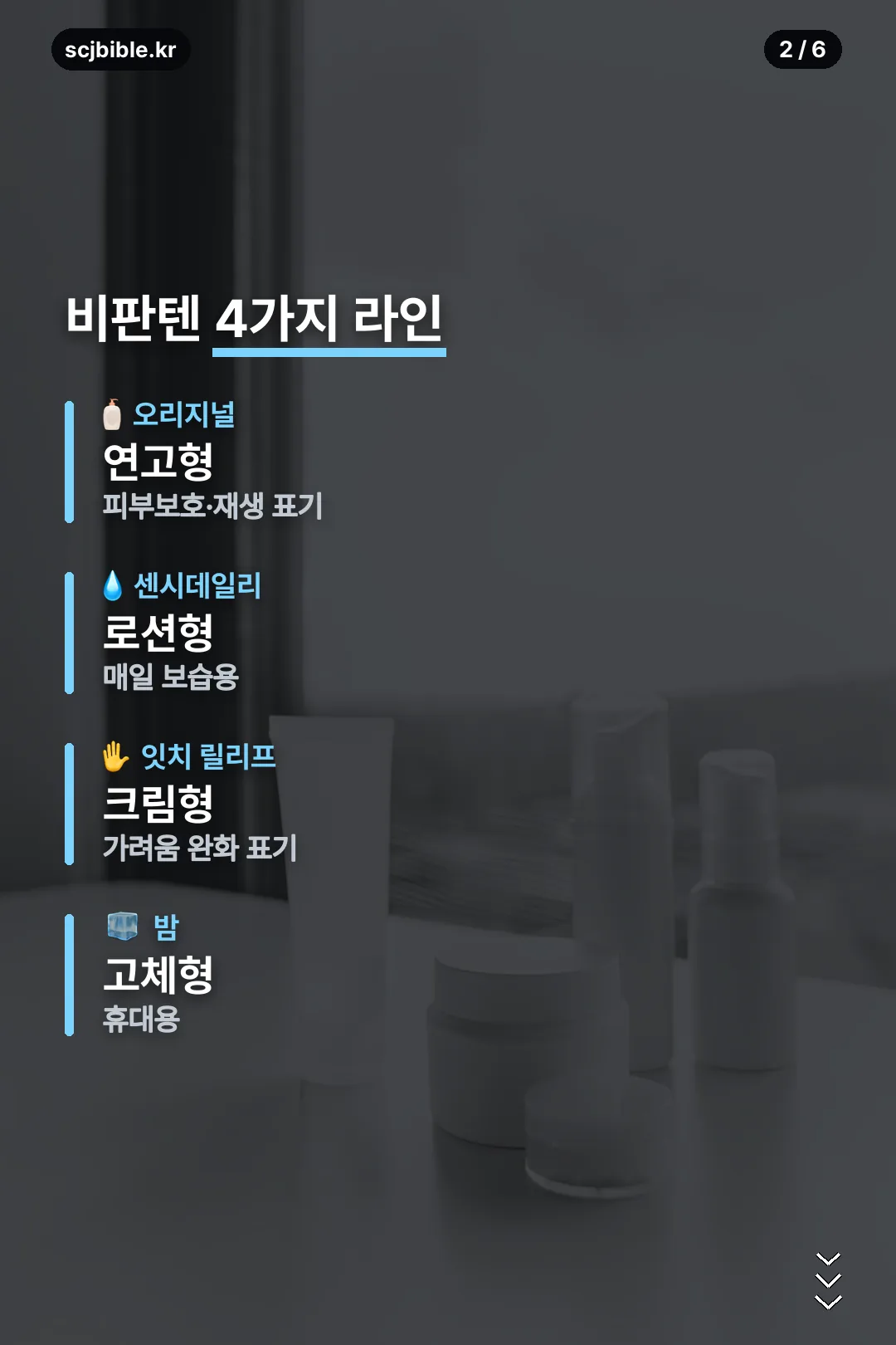 비판텐 4가지 라인 비교