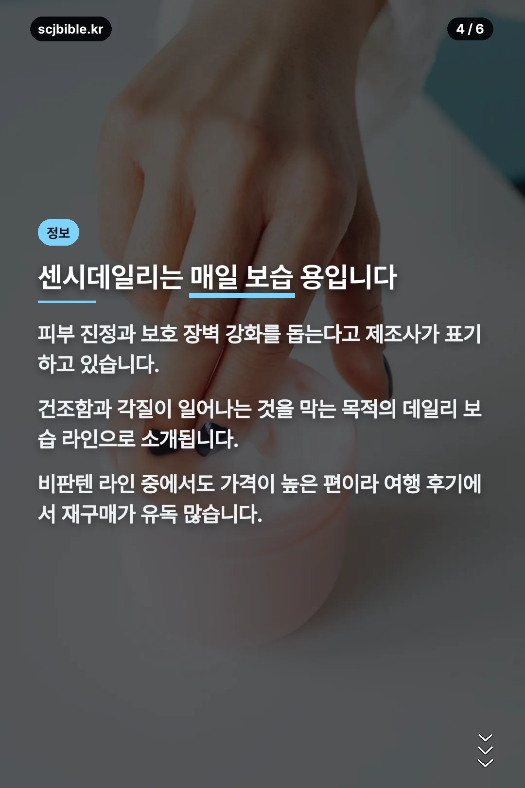 센시데일리 설명