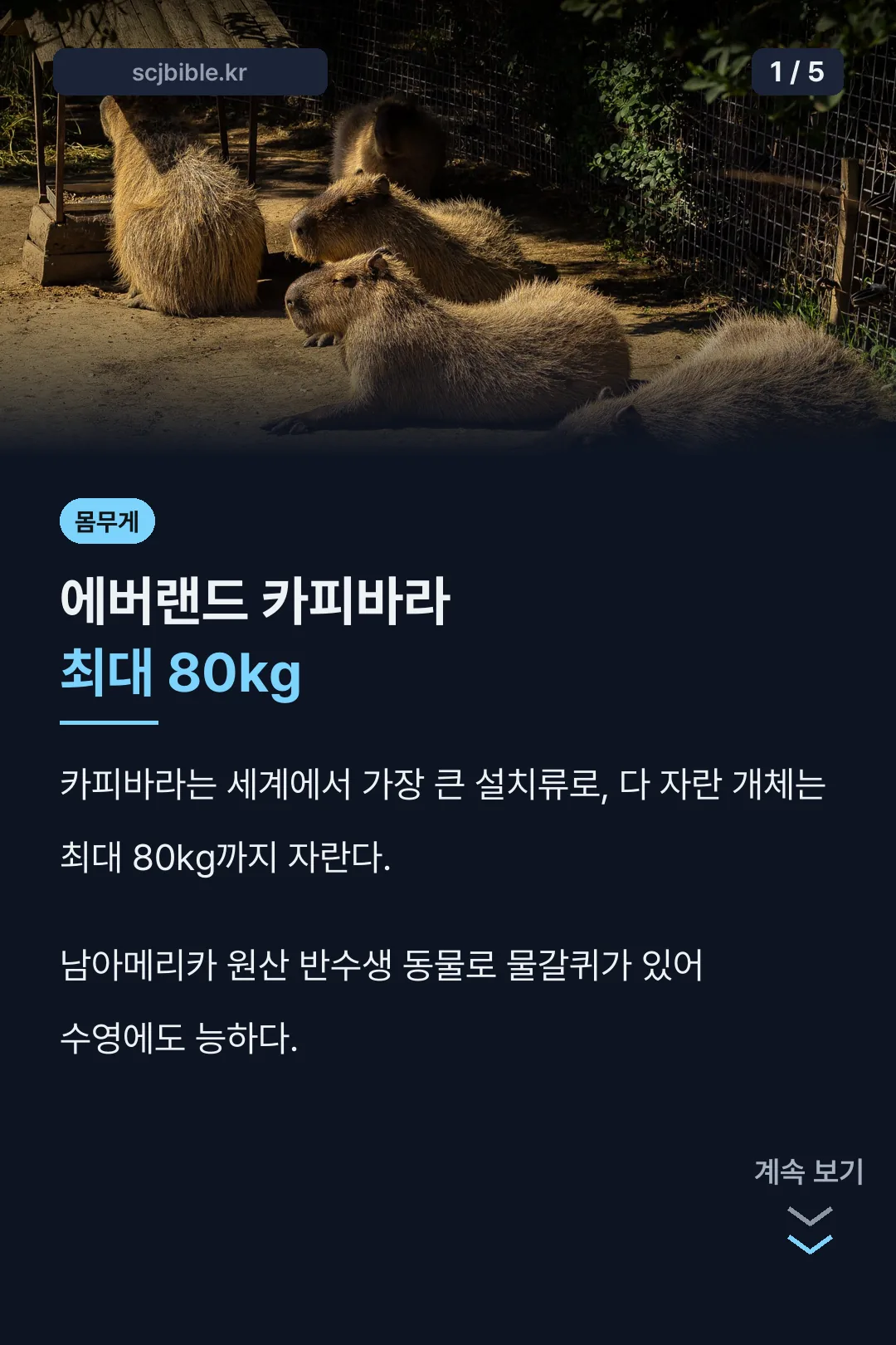 에버랜드 카피바라 최대 80kg