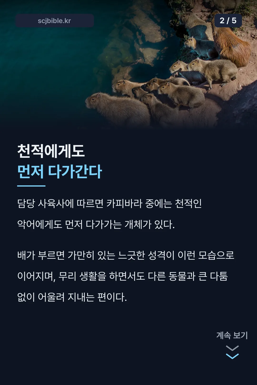 천적에게도 다가가는 친화력