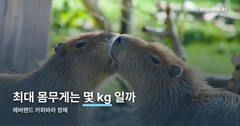 에버랜드 카피바라 정리 썸네일