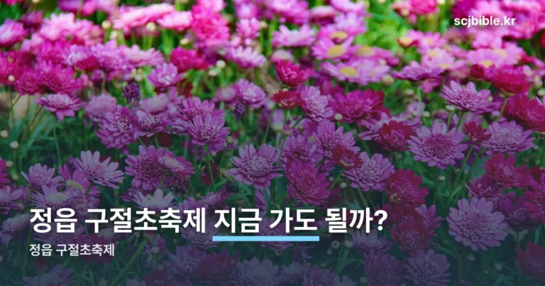 정읍 구절초축제 2026 일정 — 10월8일 개막, 입장료·주차 정리