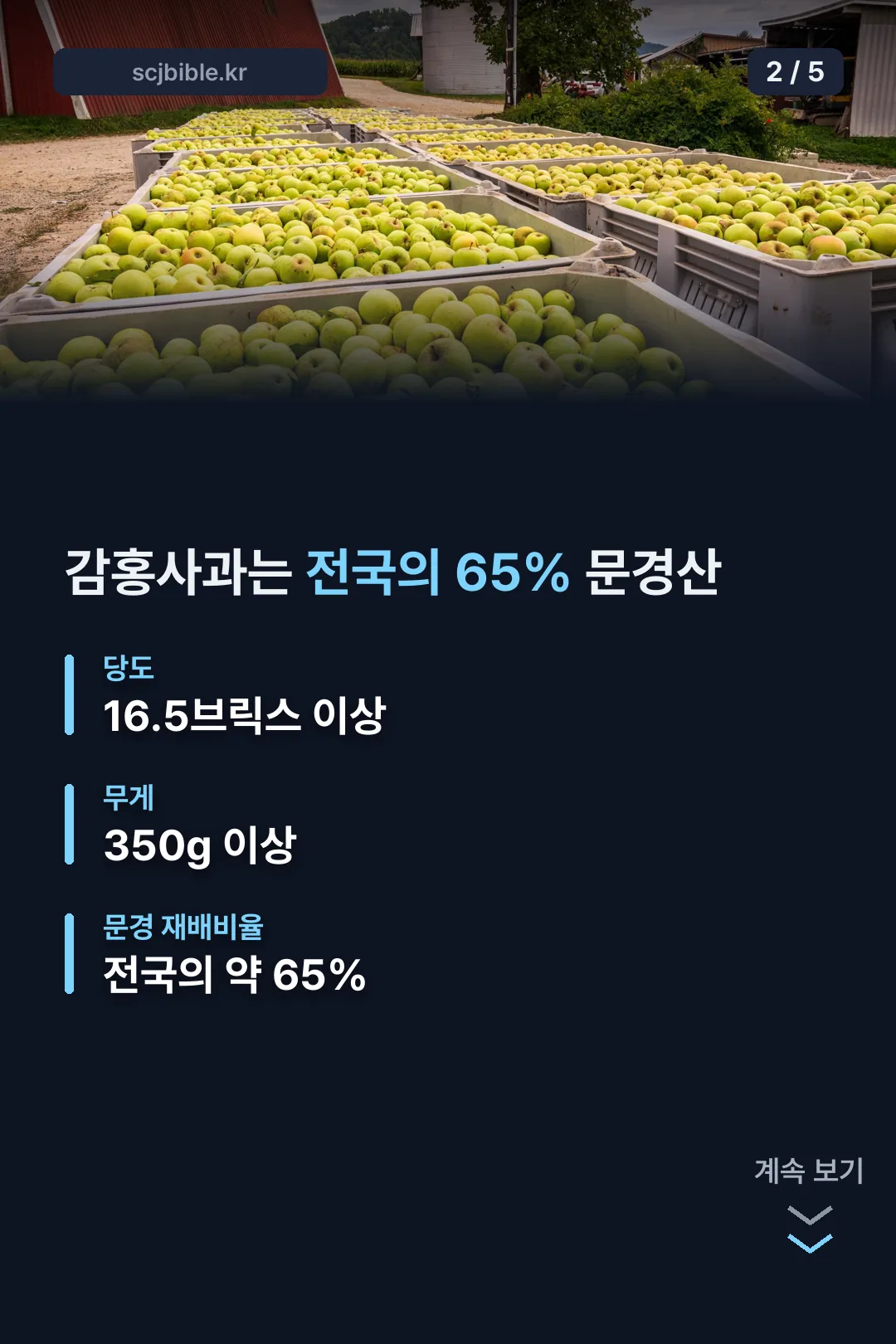 감홍사과 전국 재배 65% 문경산