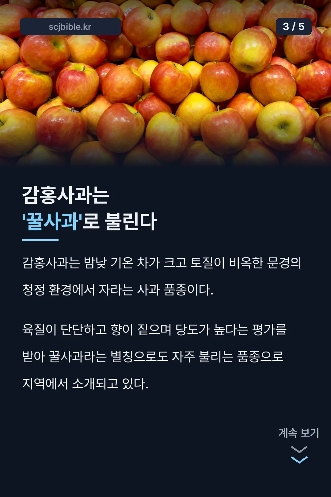 꿀사과라 불리는 감홍사과