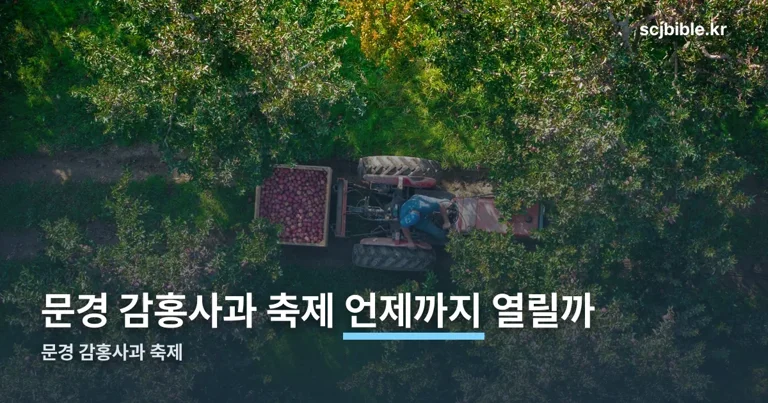 문경 감홍사과 축제 정리 썸네일