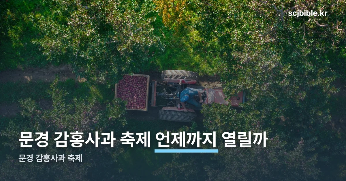 문경 감홍사과 축제 정리 썸네일