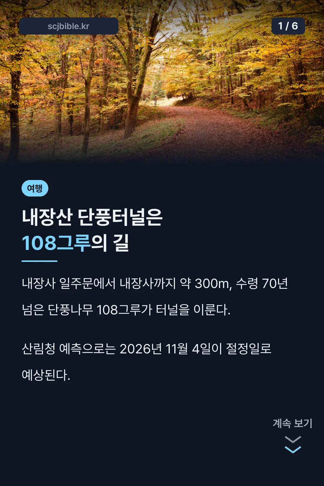 내장산 단풍터널 표지
