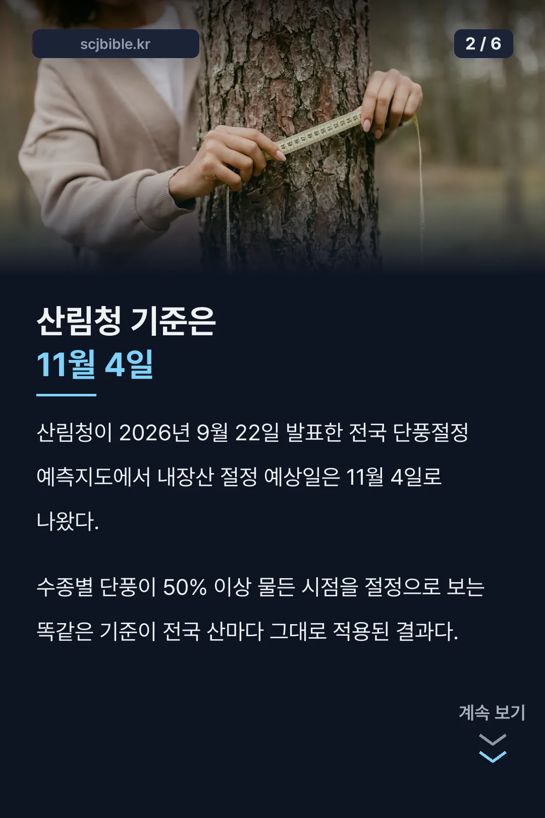 산림청 11월 4일