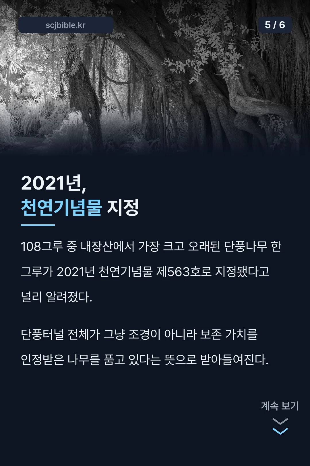 2021년 천연기념물 지정