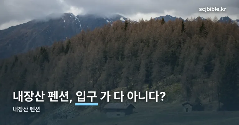 내장산 펜션, 단풍 절정 11월 4일 전후 입구·외곽 지형 정리