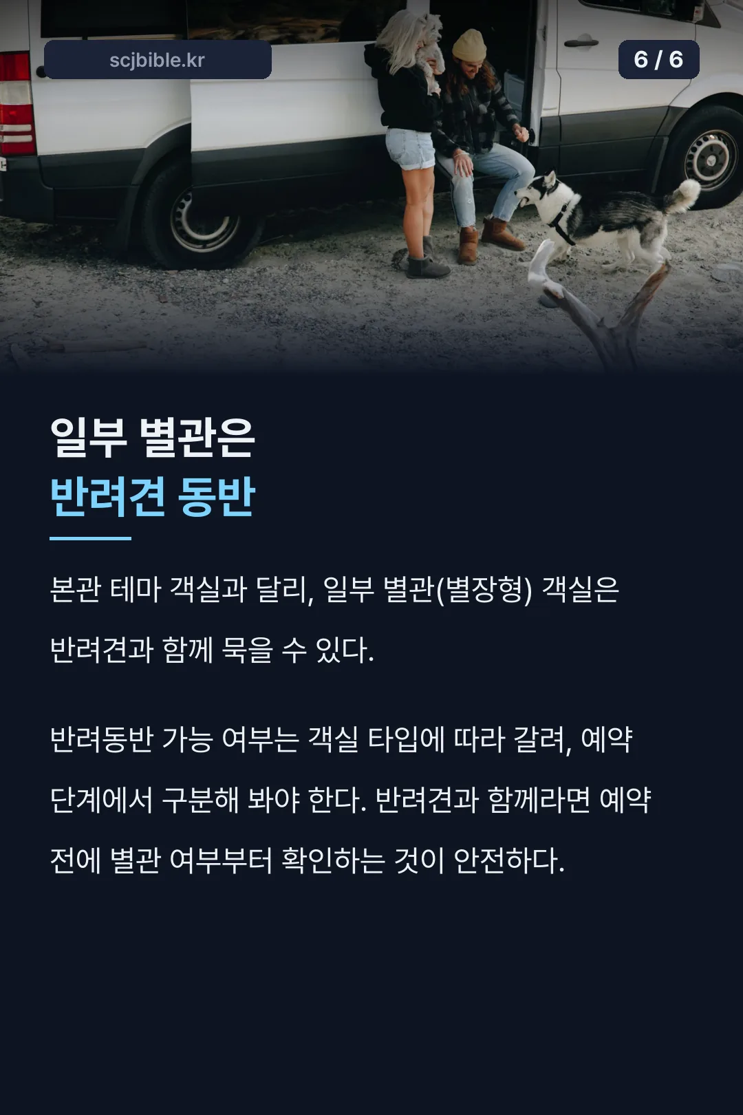 반려견 동반 객실