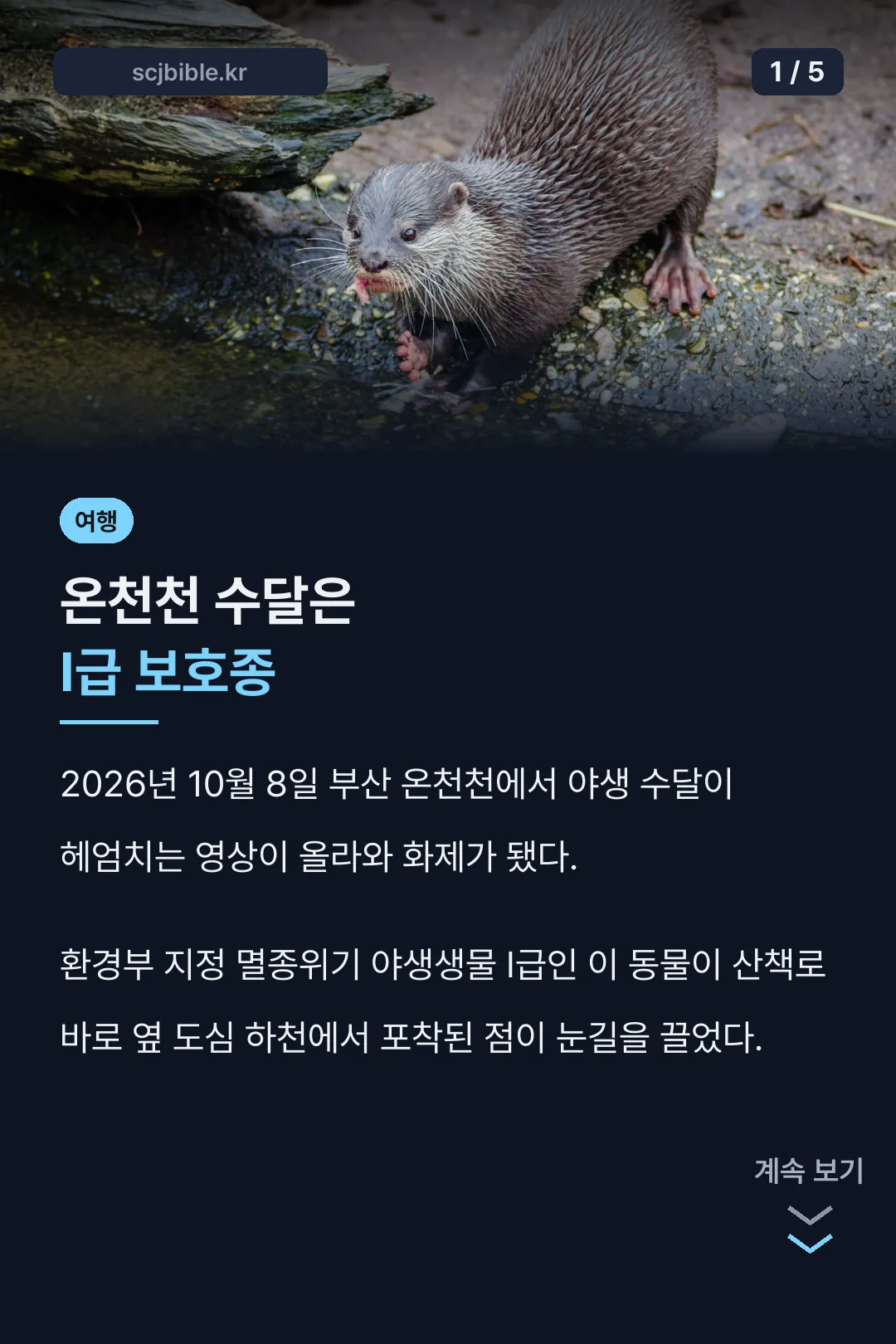 온천천 수달 표지