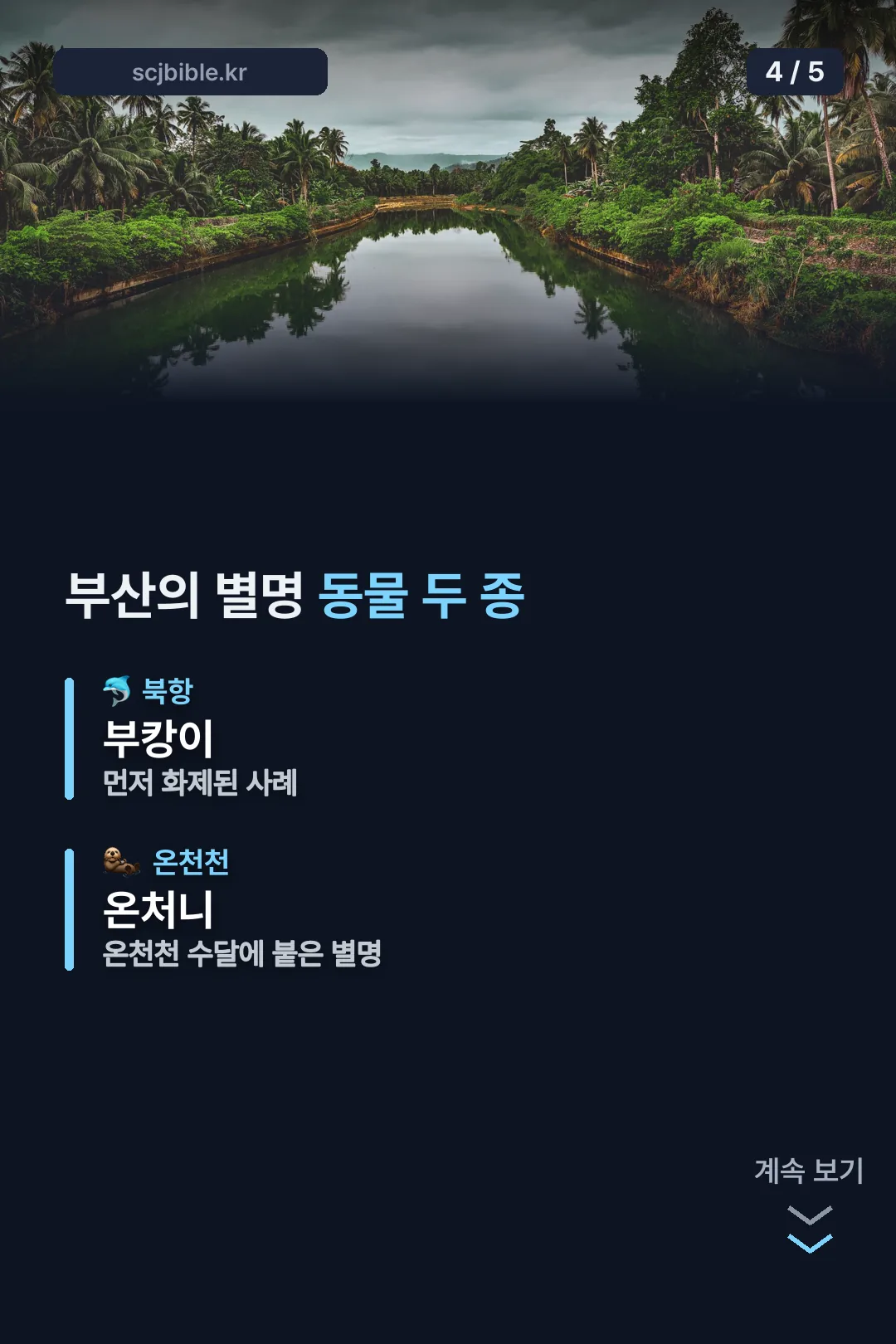 부산의 별명 동물 두 종