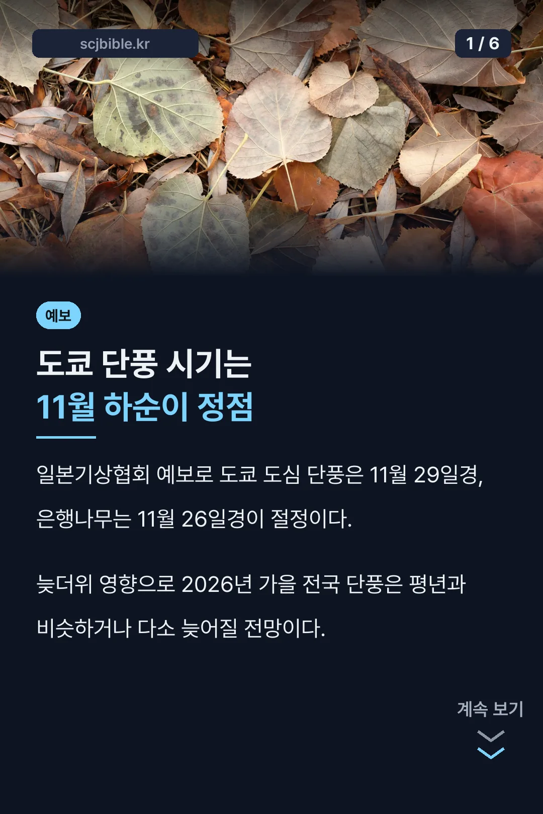 도쿄 단풍 시기 예보 요약