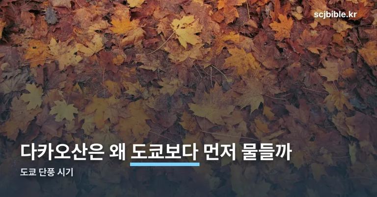 도쿄 단풍 시기 정리 썸네일